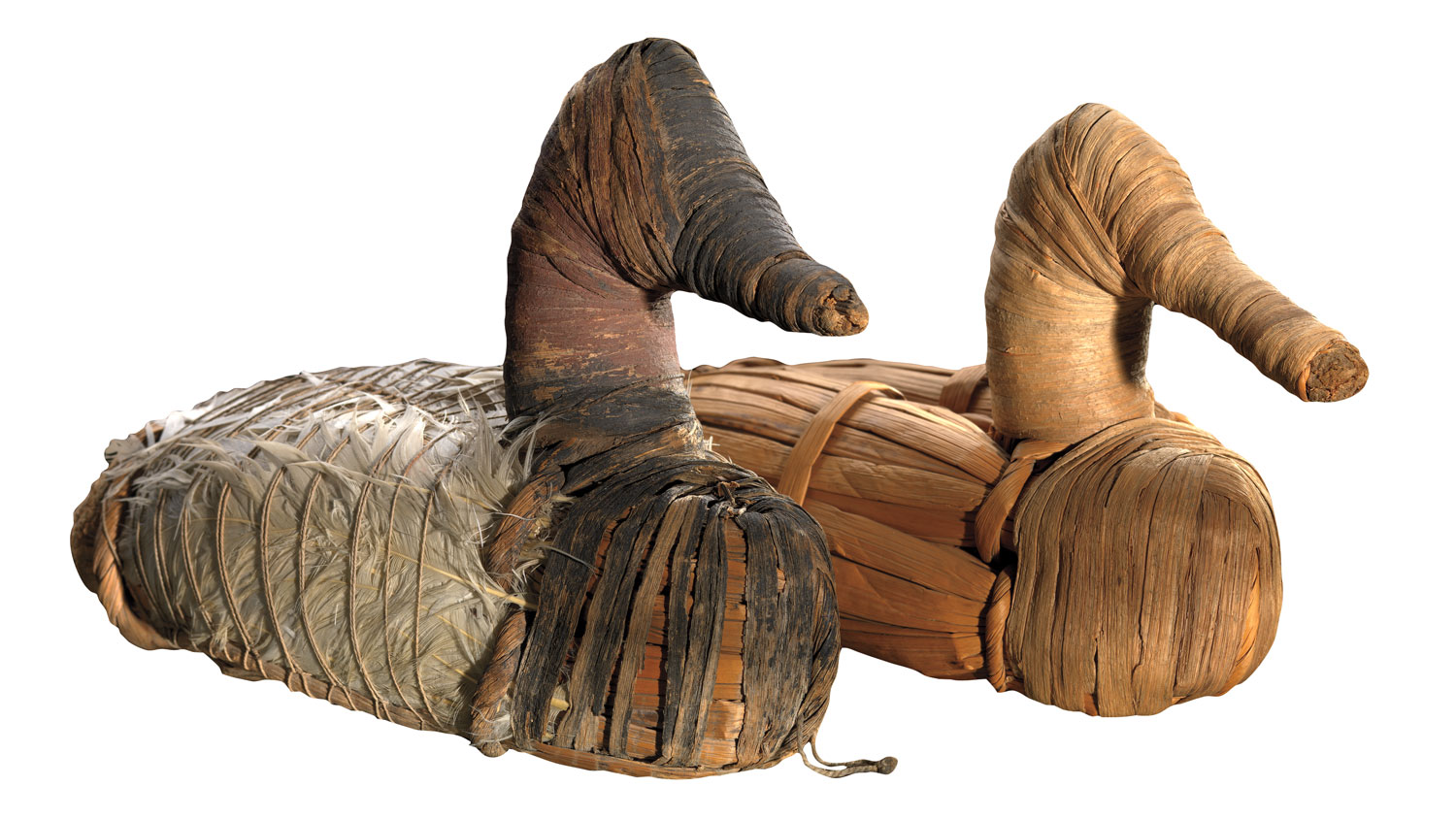 native american indigenous cultures digital preservation